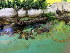 -重庆欢乐海底世界