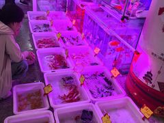-宝鸡东道花鸟鱼虫市场(吉利花园商场店)