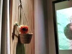 -璞禅足道(观音桥旗舰店)