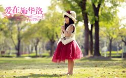 -施华洛婚纱摄影会所(范阳中路店)