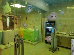 -千禧果月子会所(郑州东站店)