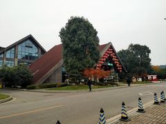 -铁山坪森林公园