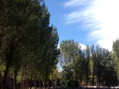 -紫海香堤香草艺术庄园