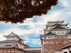 -名古屋城