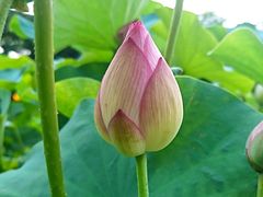 -龙环葡韵住宅式博物馆