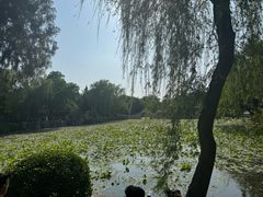 -莲池书院博物馆