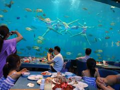 -瑞德姆美人鱼海底演艺主题餐厅(亚龙湾店)
