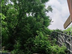 -嵖岈山风景区