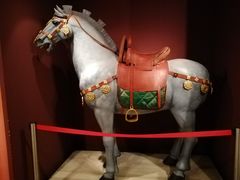 -西安大唐西市博物馆