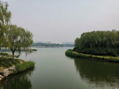 -大兴滨河森林公园