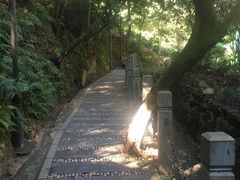 -十八棵（老龙井）御茶园(老龙井店)