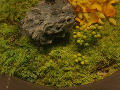 -潮上潮(南中环店)