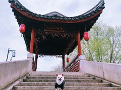 -张家港凤凰山景区恬庄古街