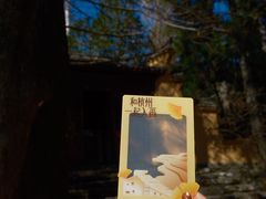 -天目山大树王景区