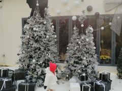 -HERRE·FARM 赫尔露营农场·团建聚会包场