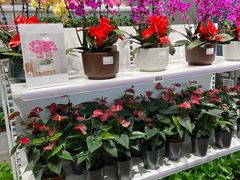 -盒马X会员店(王府井奥莱UP TOWN店)