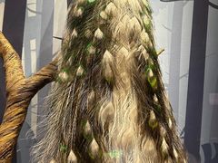 -陕西自然博物馆