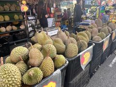 -云顶高原