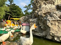 -团结湖公园