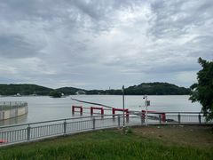 -渤公岛生态公园
