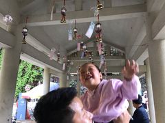 -九龙江国家森林公园