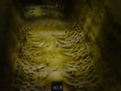 殉葬坑-汉景帝阳陵博物院