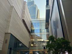 -港汇恒隆广场