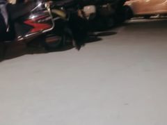 -三姐妹·海鲜大排档