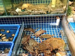 -必点海鲜·鲅鱼水饺(鞍山西道店)