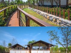 -黄海国家森林公园