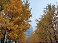 -辽宁大学(崇山校区)