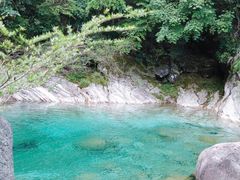 -自游人·美食一楼·地道徽菜(三十年名店)