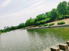 -滨湖塘西河公园