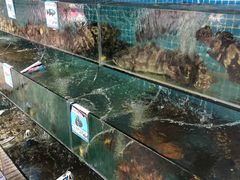 水产区-范饭椰林川湘味海鲜·椰子鸡(三亚湾椰梦长廊店)
