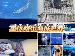 -重庆欢乐海底世界