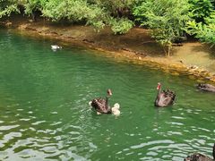 -长白岛森林公园