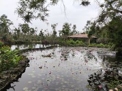 -海南热带野生动植物园