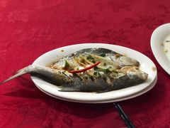-蛇口康乐快餐鱼仔档(翠苑小区店)