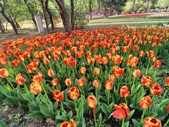 -国家植物园南园