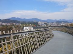 -福道