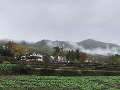 -塔川景区