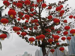 -万绿园