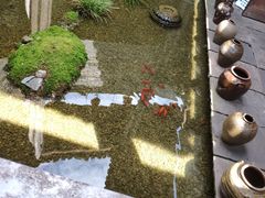 -几荷·恰似故人来(秀水广场店)