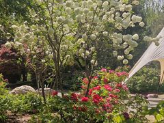 -洛阳市隋唐城遗址植物园