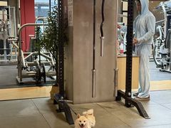 -聚健身GatherFitness(余杭店)