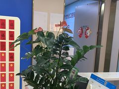 -启辰口腔(南坪店)