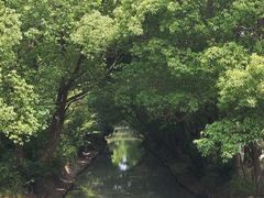 -同里国家湿地公园