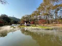 -田野绿世界