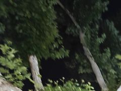 -南京航空航天大学(明故宫校区)