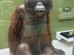 -国家自然博物馆